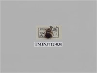 藏品(緣邊駝金龜)的圖片